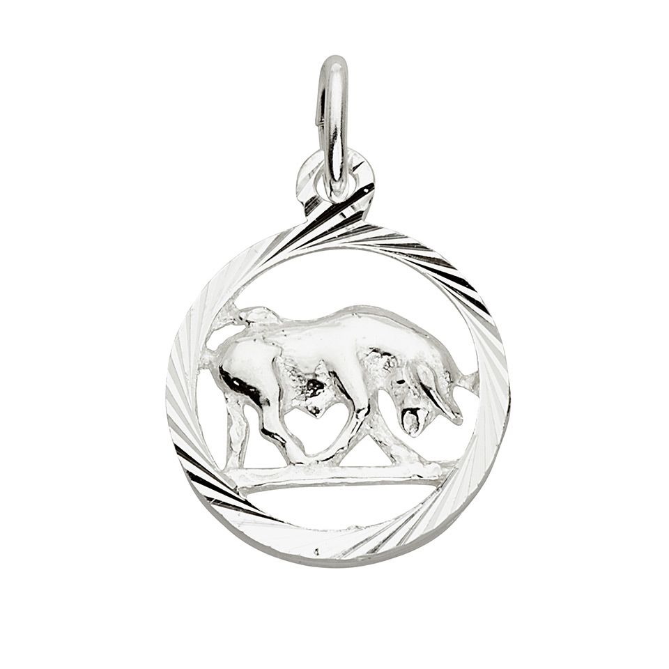 H&auml;ngsmycke i &auml;kta silver