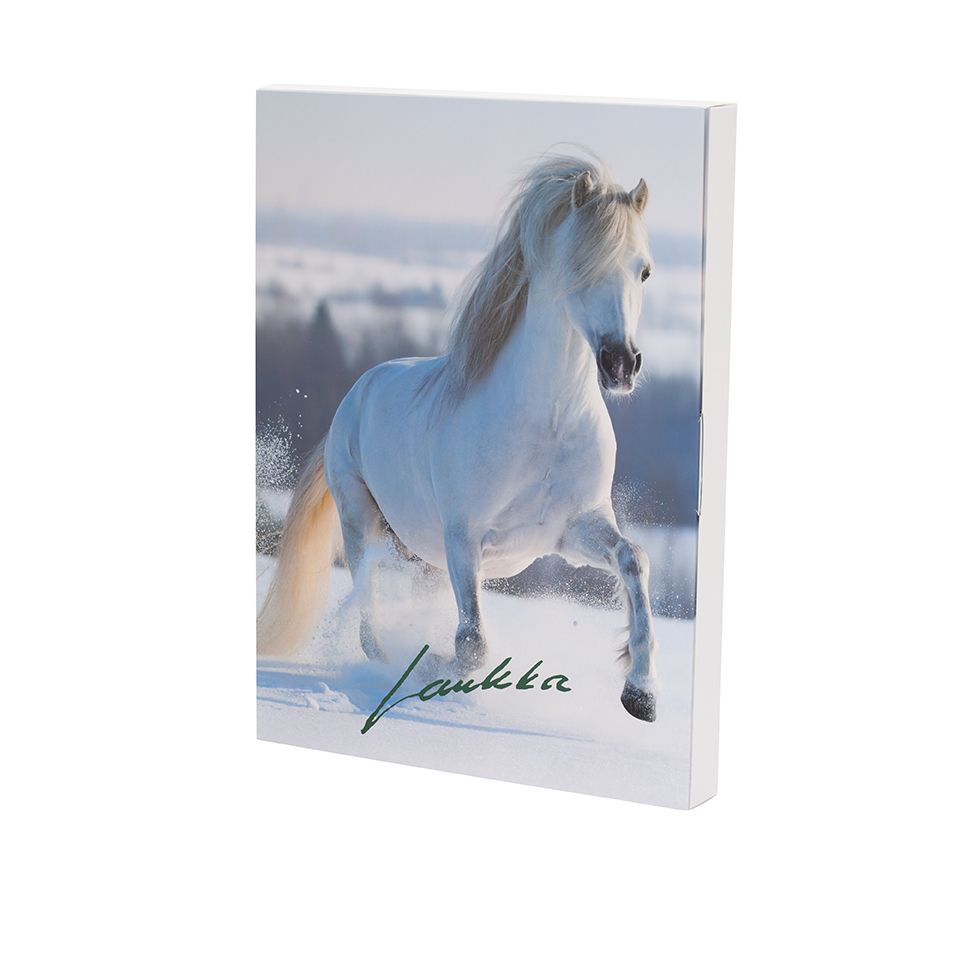 Julkalender Laukka 2023